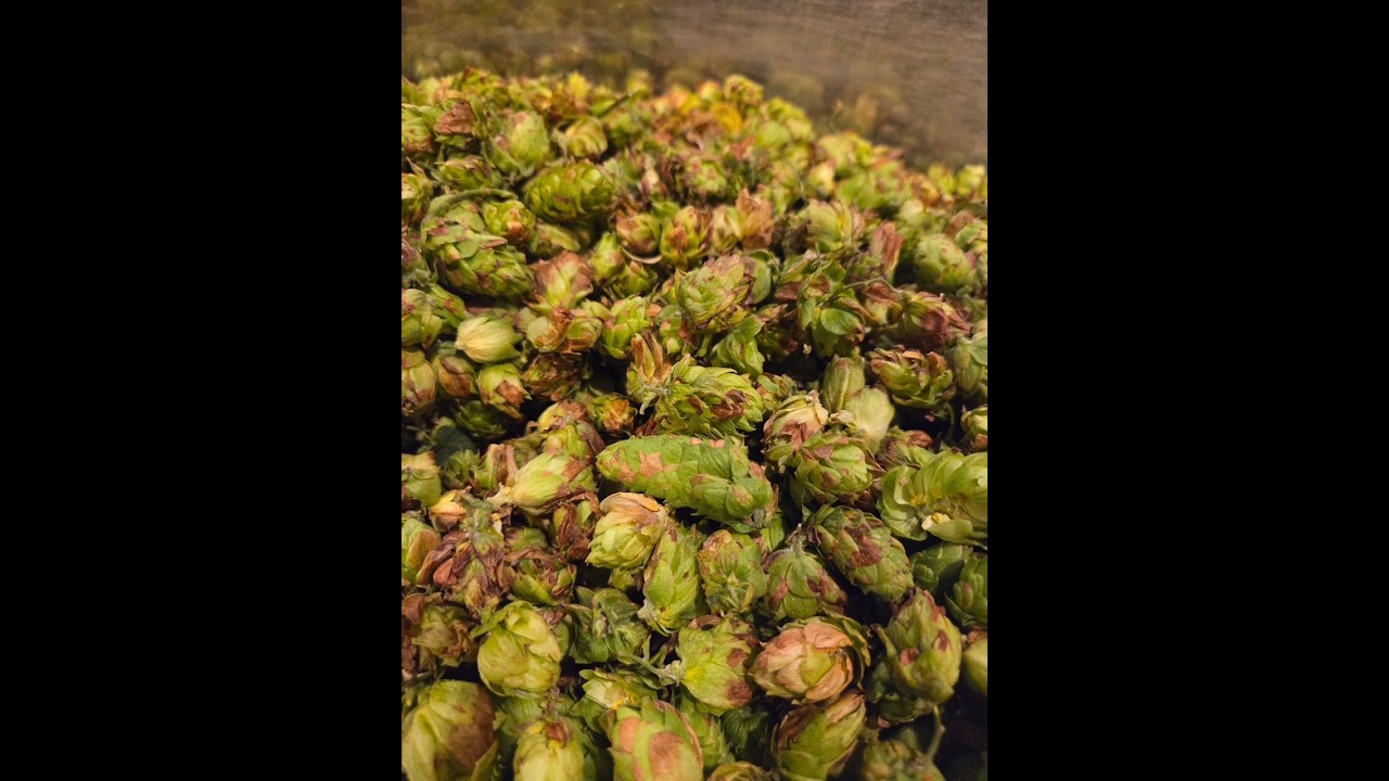 Tennessee-Monday Night Brewing-Part 1