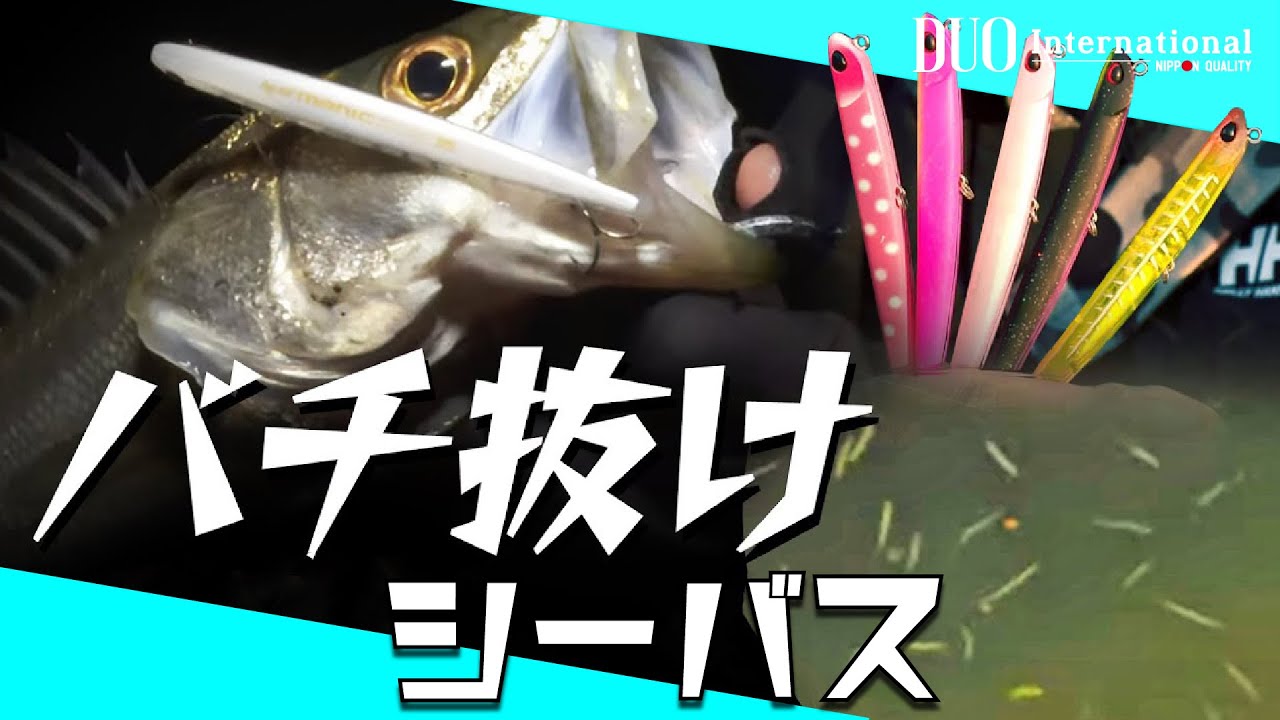 【シーバス】バチ抜けシーバスを狙う！