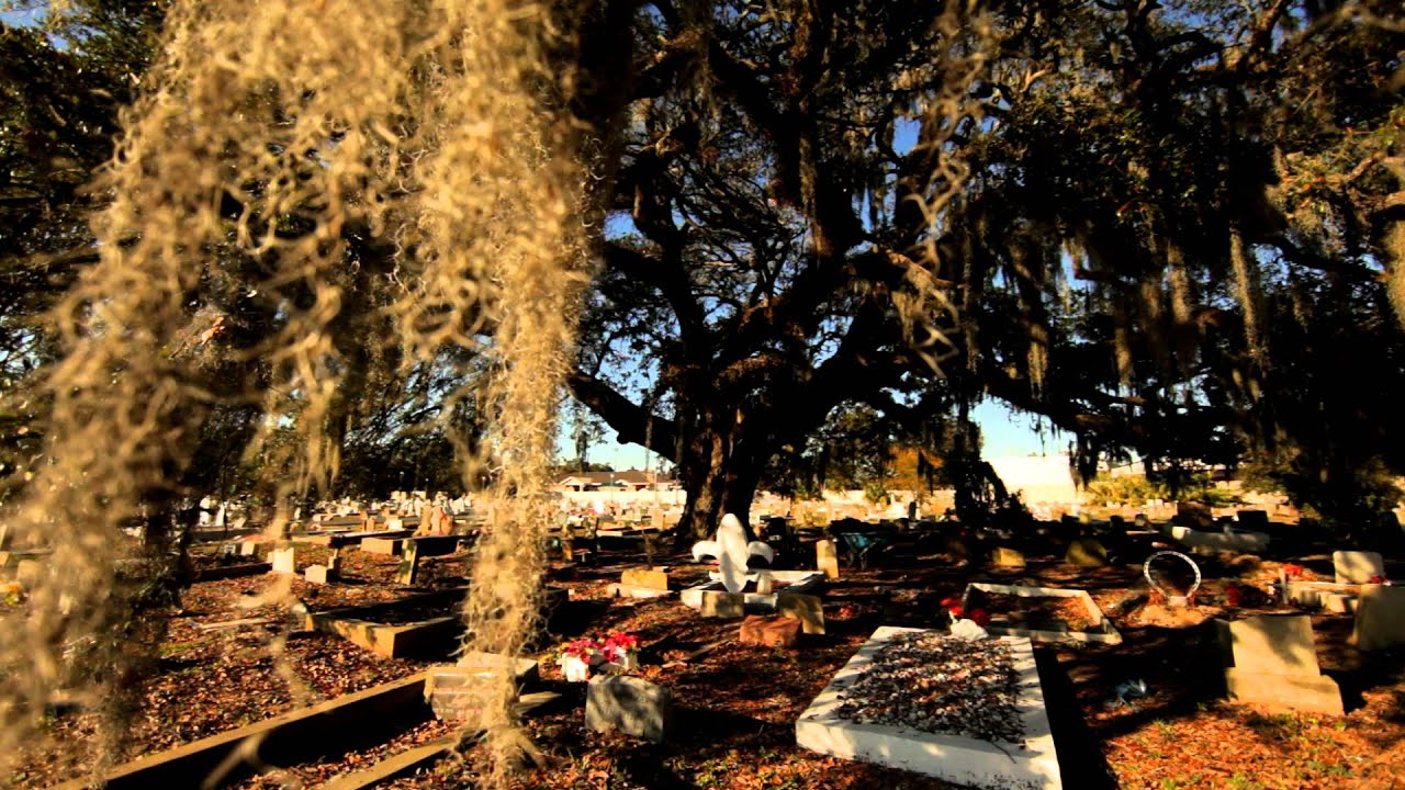 New Orleans Neighborhoods | Mid City