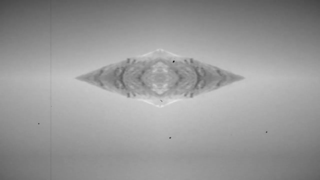 Zann - Petrichor (VISUALISER)