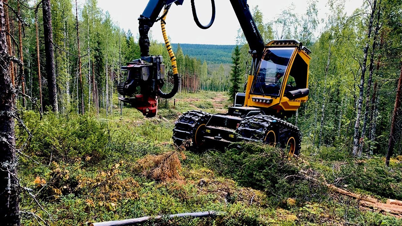 Produktiva skogsmaskiner med Eco Log