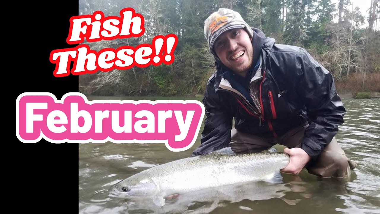 Best Steelhead Lures to Use in February!