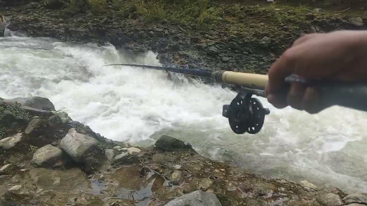 Detik -detik full mberot ikan tergurih di dunia . #mancingmania #mancing #mancingarusderas #video 