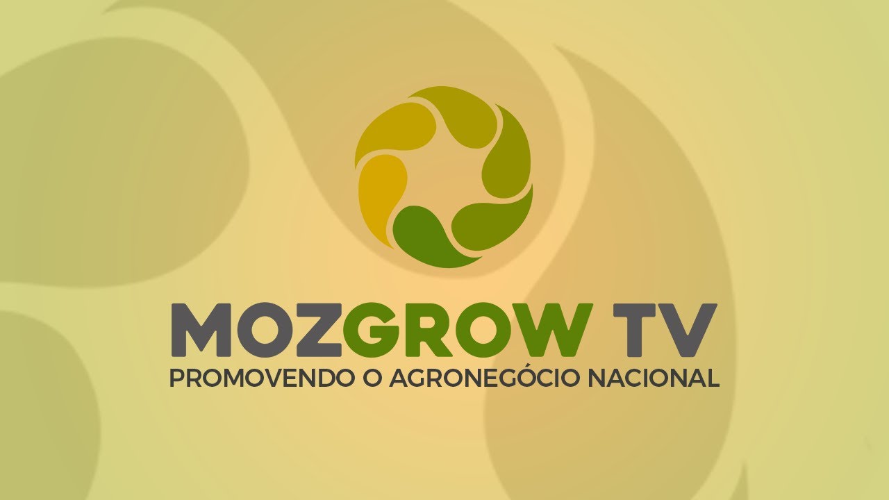 MOZGROW TV | SYNGENTA MOÇAMBIQUE