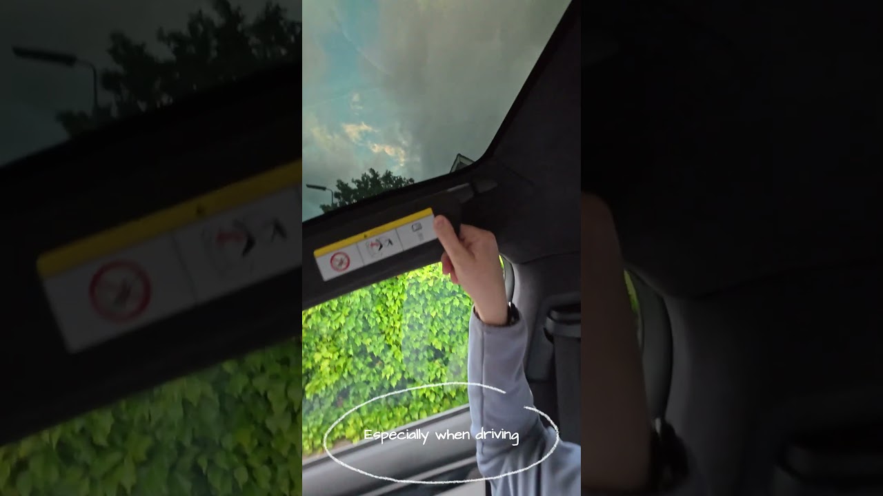 Why Is The Tesla Model X Sun Visor So Annoying?