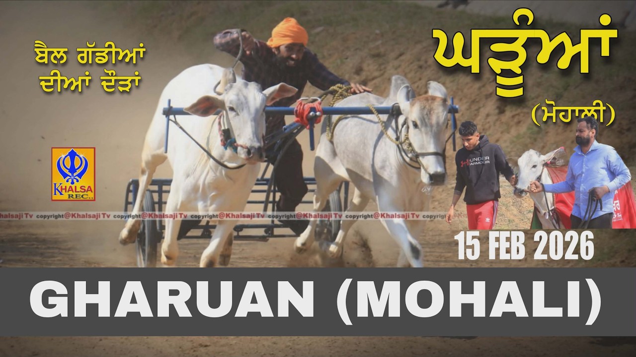 🔴[Live] Ghauran | Mohali | ਬੈਲ ਗੱਡੀਆਂ ਦੀਆਂ ਦੌੜਾਂ  | Ox Races | 15 Feb 2026 | Khalsaji Tv