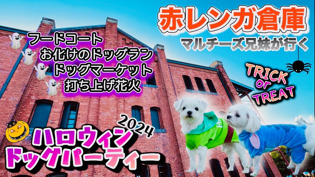 【横浜】赤レンガ倉庫ハロウィンドッグパーティー