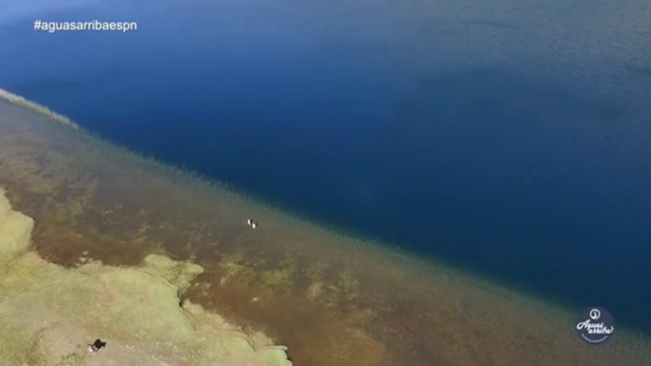 Pesca Norte Neuquen 2 de 3 Aguas Arriba ESPN Latinoamérica 11 2018