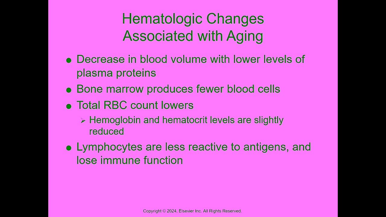 Chapter 33 Hematologic System