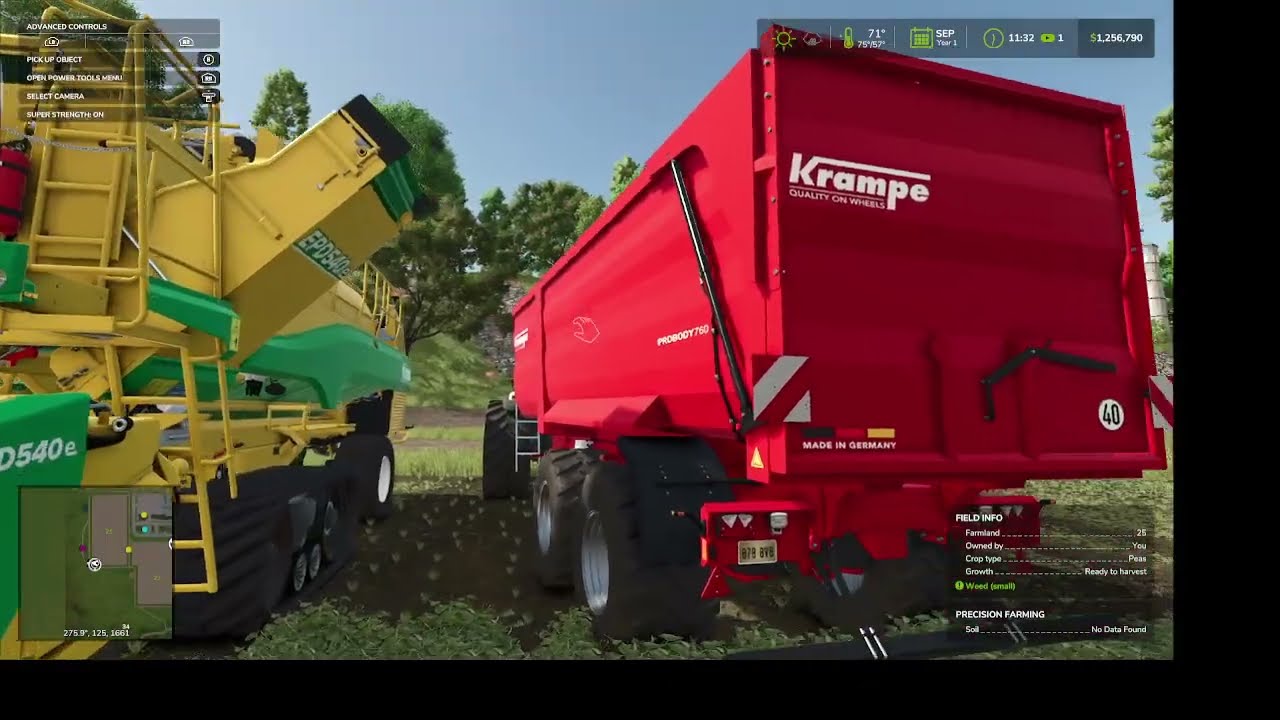 Fs25 goldcrest Valley/ green beans 