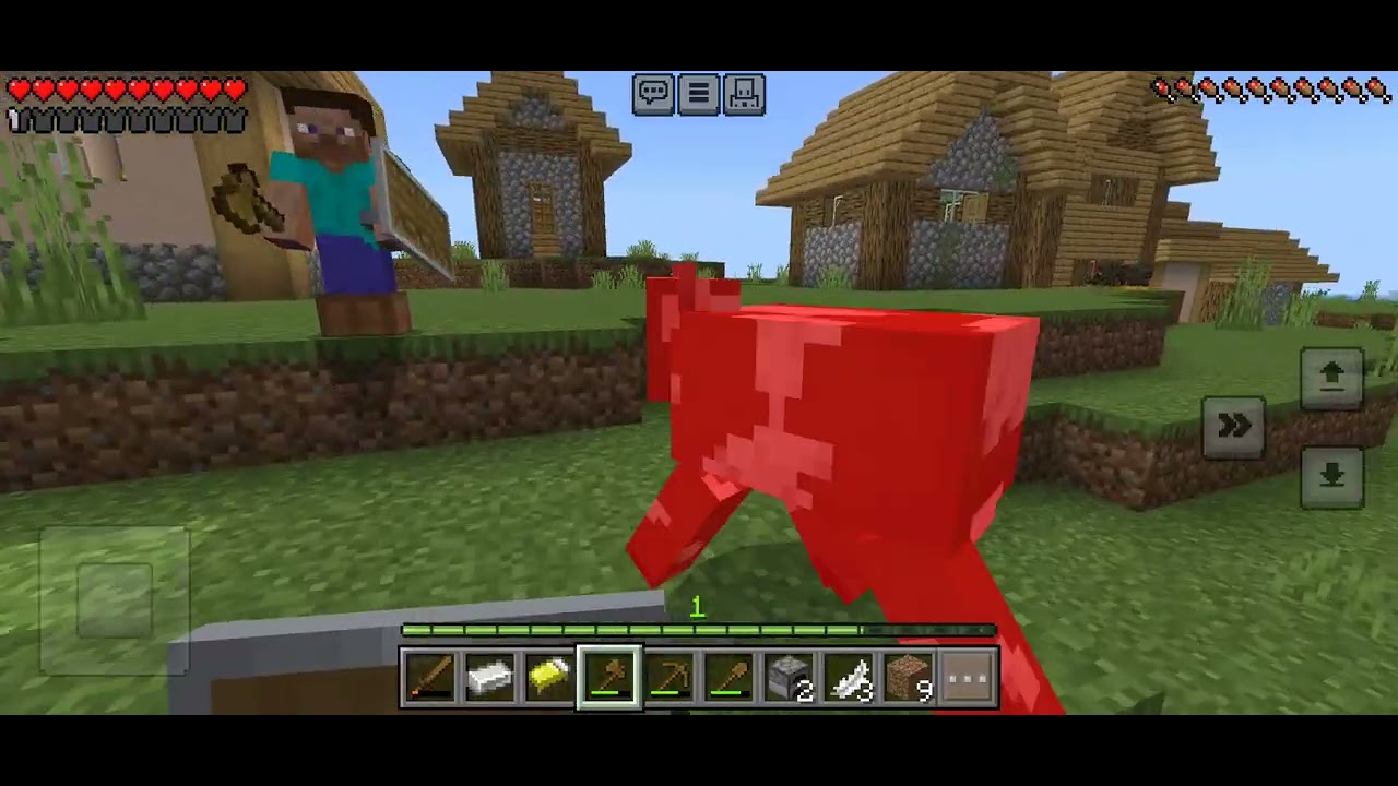 another video of me and my little brother surviving in minecraft