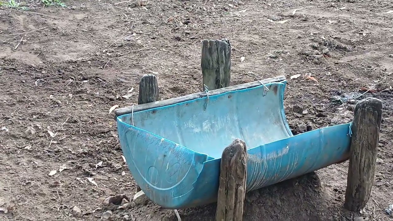 A agricultura familiar nos trás uma boa sustentabilidade no campo!