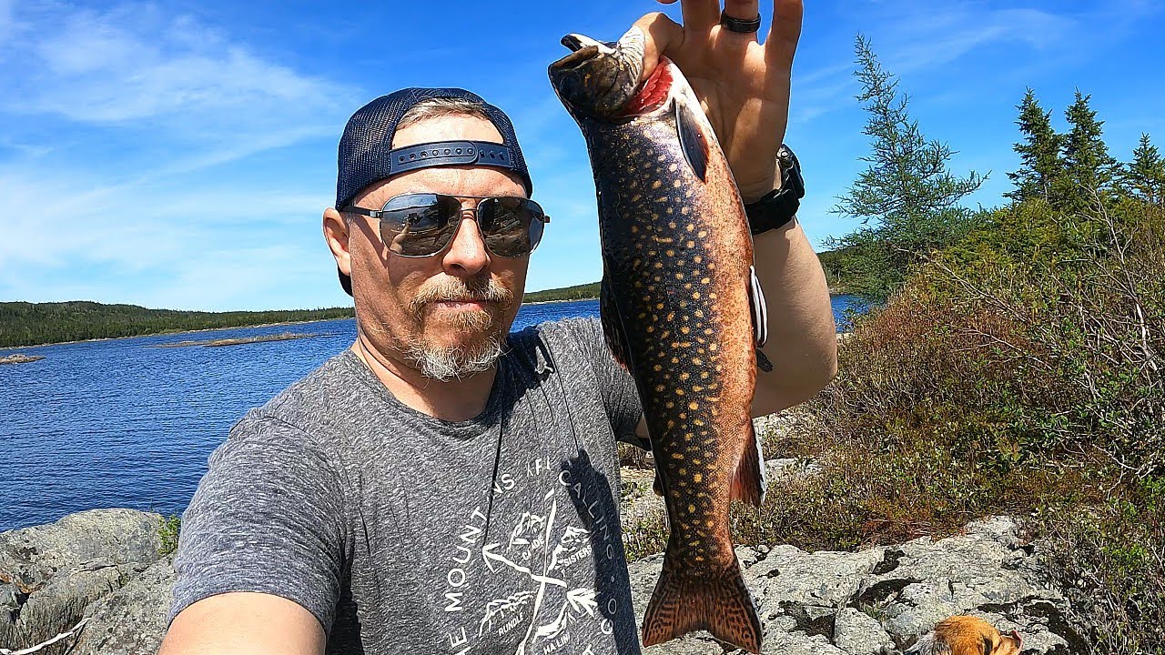 Searching for BIG Brookies !