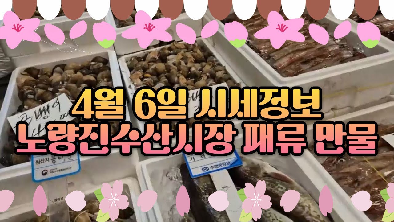 4월 6일 노량진수산시장 만물 (패류031) 시세정보 입니다. 36년 경력으로 믿고 찾아주세요☺