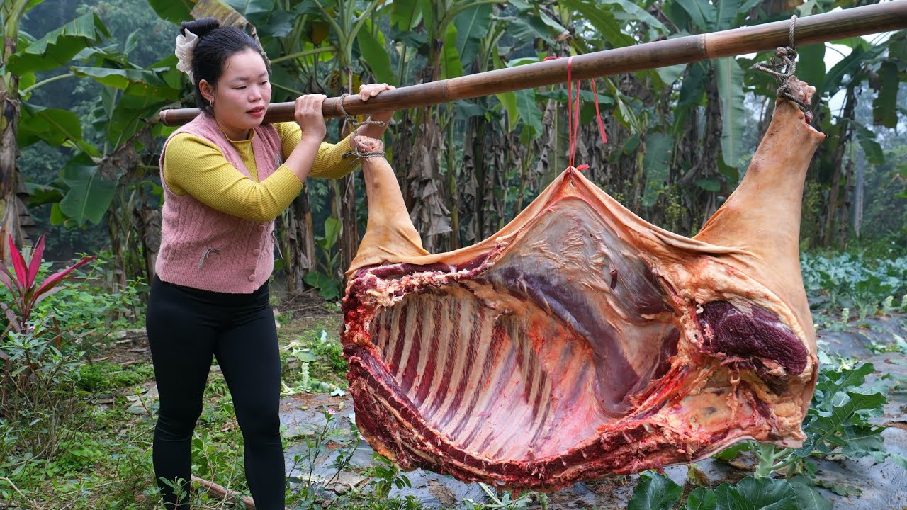 Processing 100+ KG of Wild Buffalo Meat | Traditional Marinating & Dried Beef for 360-Day Storage.