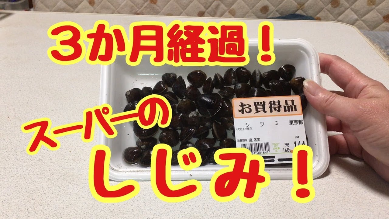 ３ヶ月が経過しました！【スーパーのしじみ】