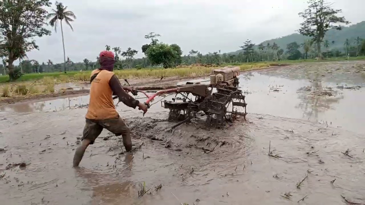 BAJAK SAWAH@PEMERATAAN TANAH 