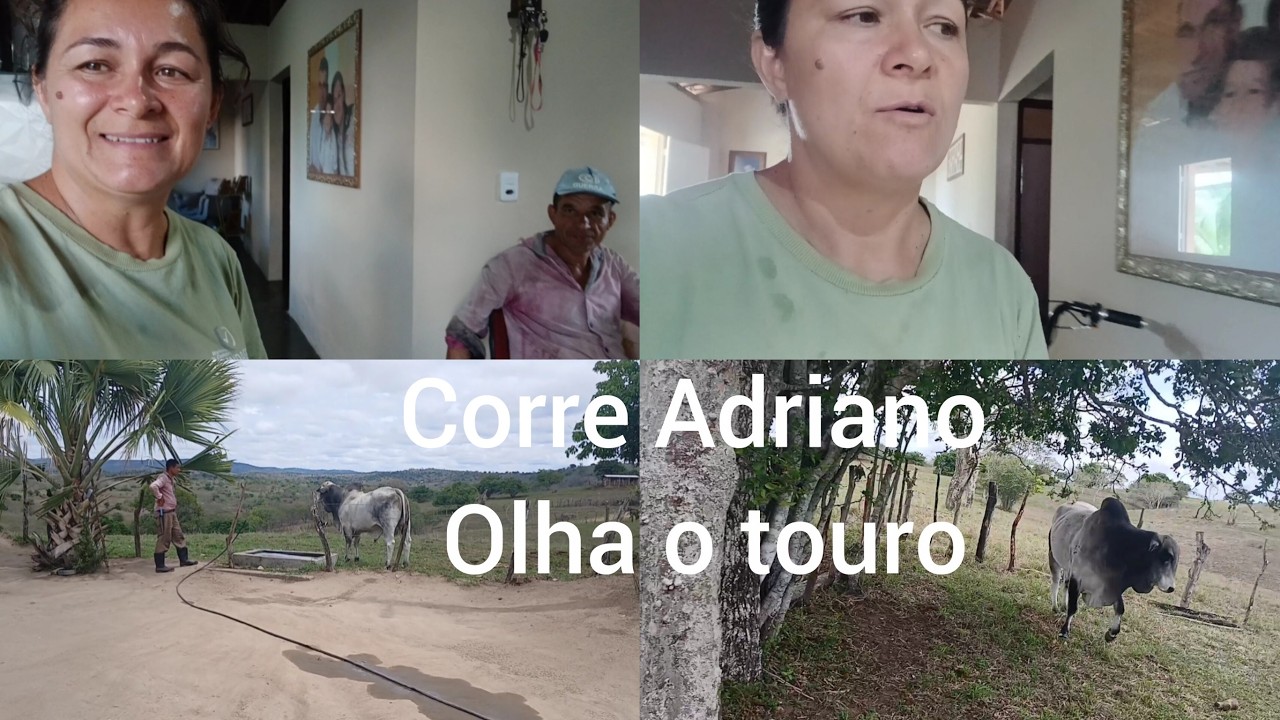 DEPOIS DE 5 DIAS APARECEMOS E EU COM CARA DE ACABADA/QUE SEMANA CORRIDA/CORRE ADRIANO OLHA O TOURO