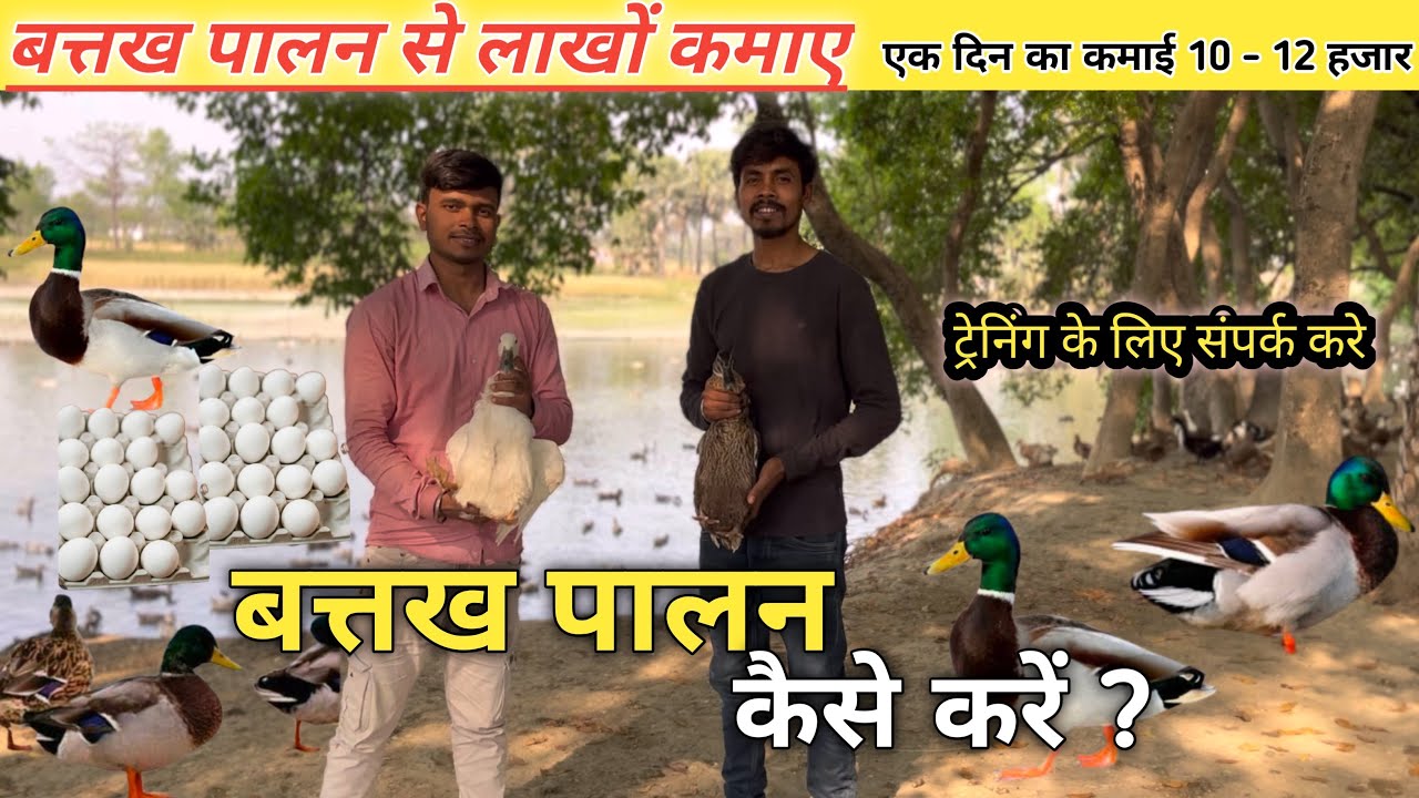 Duck Farming से 5 से 6 लाख महीने का कमाने वाले युवा से मिले। बतख़ पालन कैसे करे #duckfarming