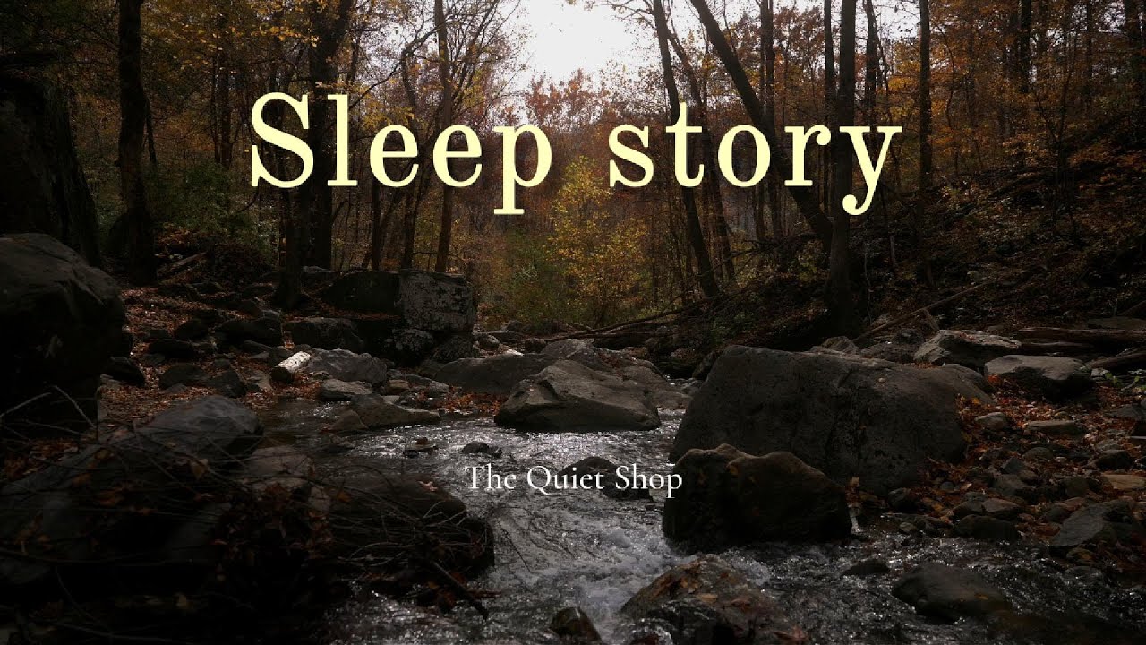 A Calm Rainy Story | Sleep Story
