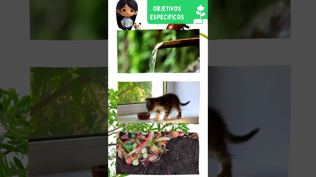 L&iacute;nea de investigaci&oacute;n Ecosof&iacute;a