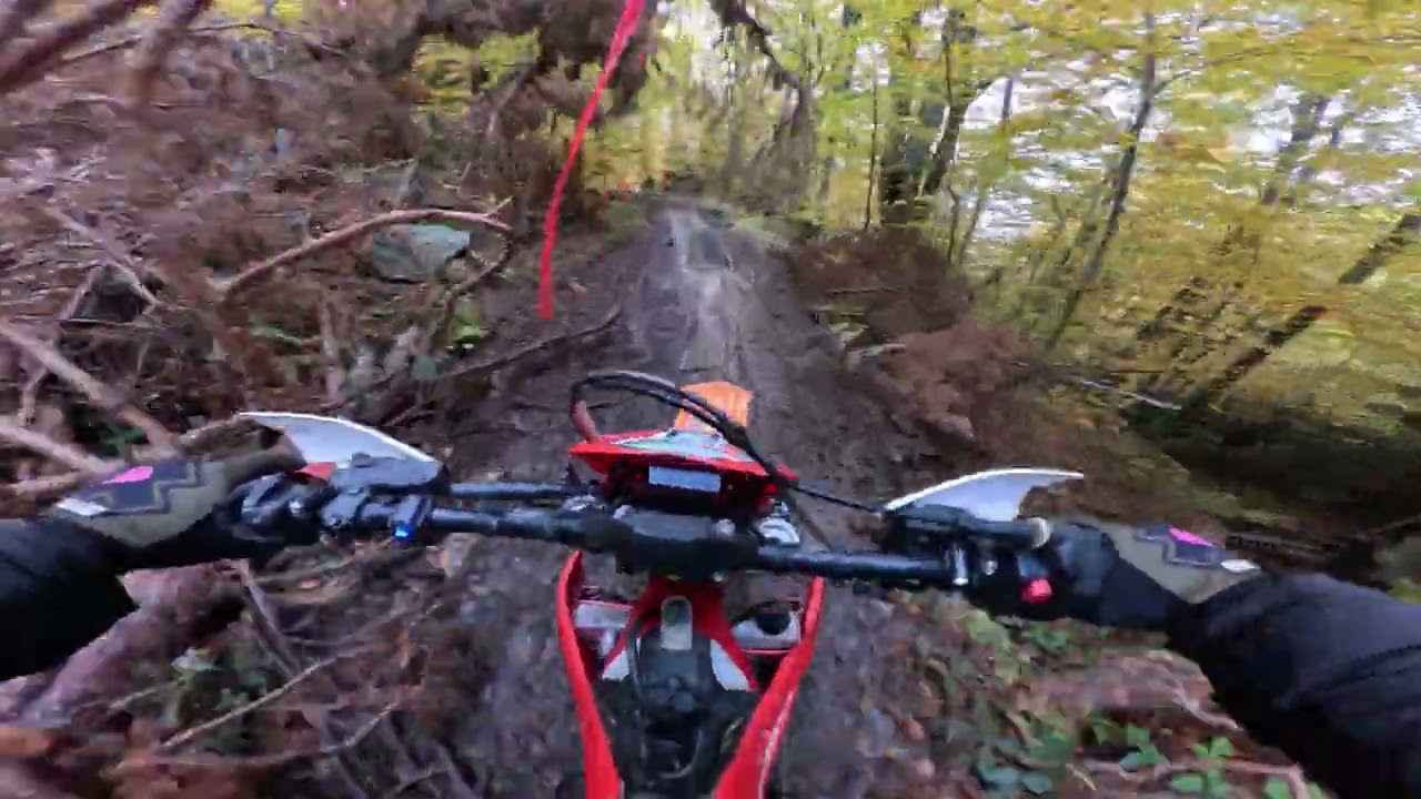Ritini Pierias 4 Downhill