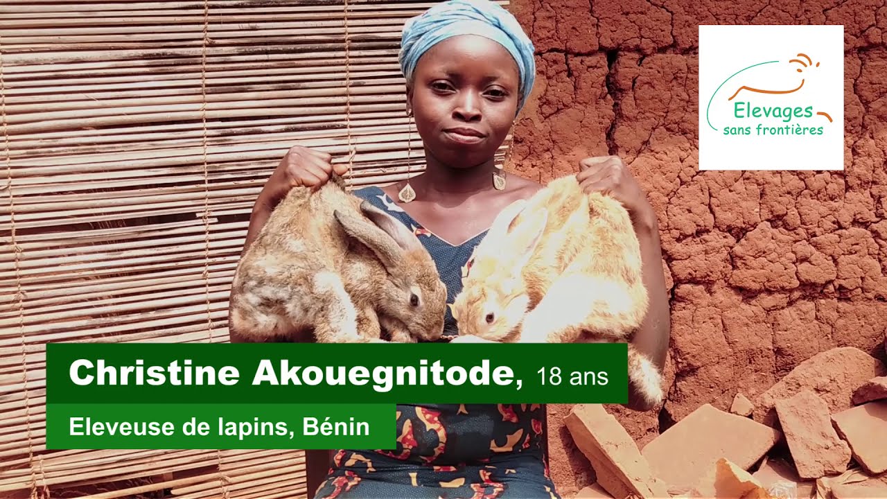 Interview Christine Akouegnitode, éleveuse de lapins au Bénin