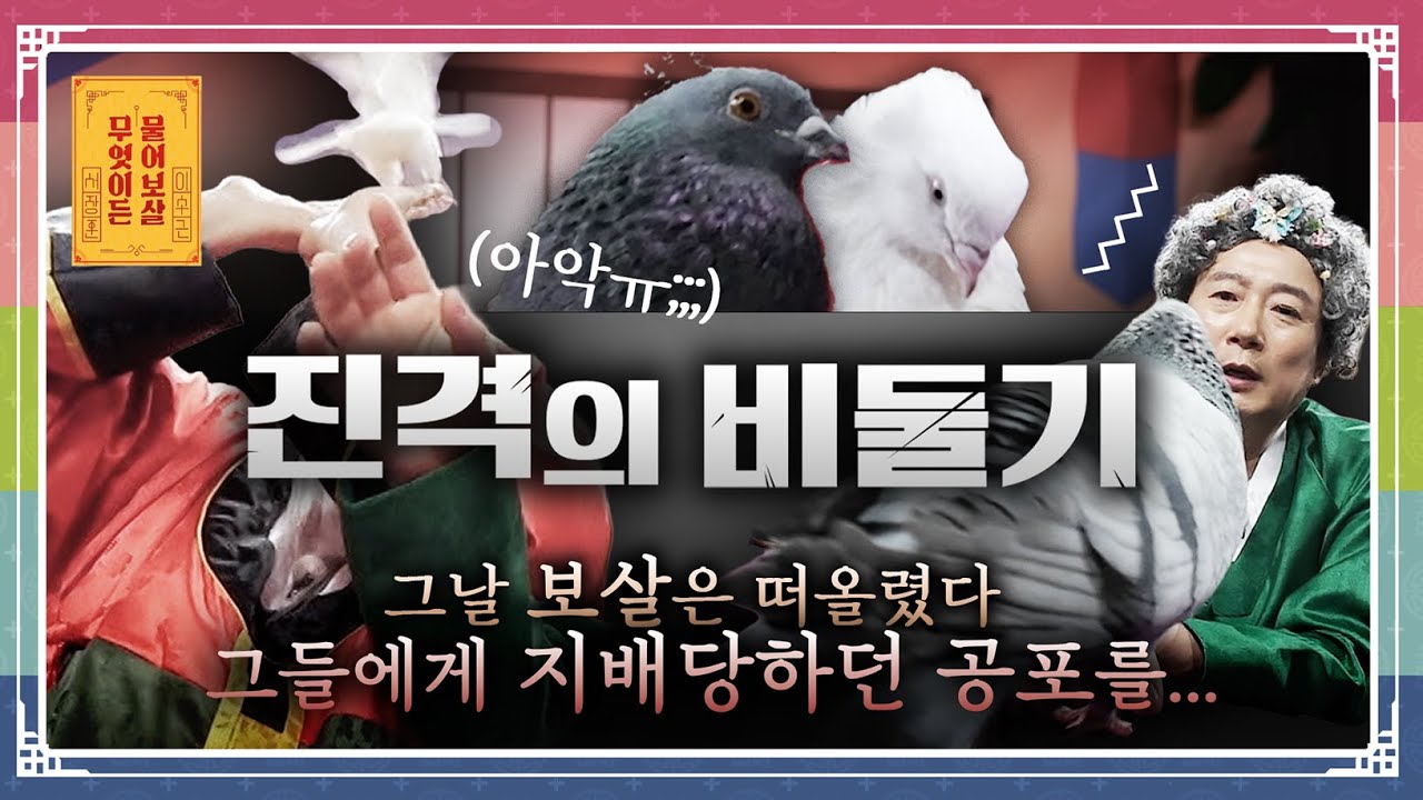 “비둘기를 키우며 생기는 오해와 갈등, 어떻게 해결해야 할까요?” [무엇이든 물어보살 260209 351화] KBS Joy 260209 방송