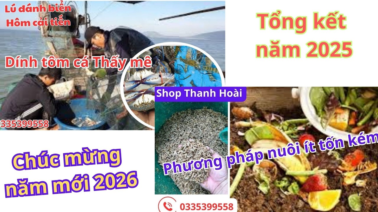 Tổng kết năm 2025, phần 3