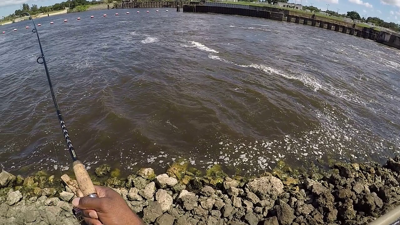 SPILLWAY PART 1 MONSTER SNOOK 42&rdquo;
