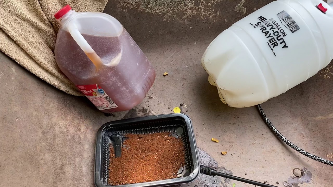 Neem Seed Meal why it should be in Your Organic Garden