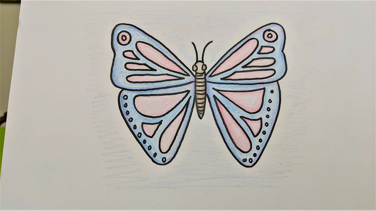 Mr W's Tutorial, How To Draw A Butterfly Easy (Kids Crafts)
