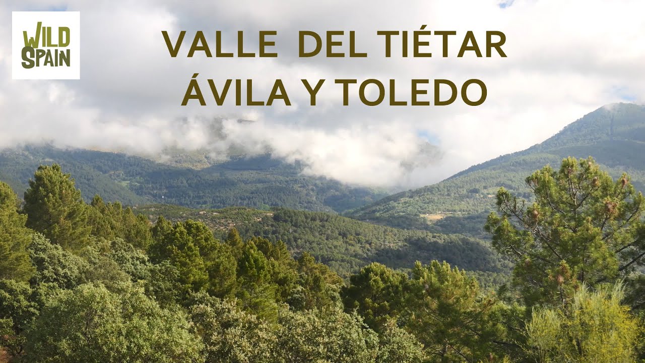 Wild Spain - Capítulo 244 - Valle del Tiétar,  Ávila y Toledo.