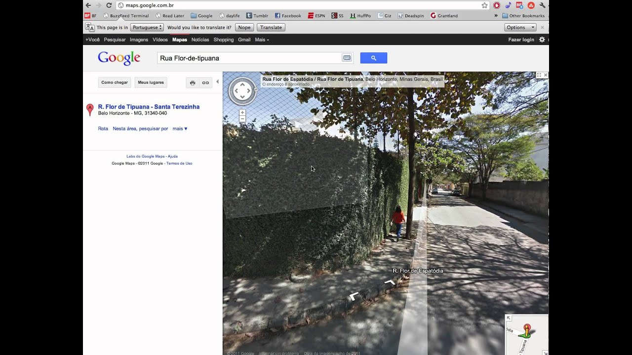 Brazillian Google Maps "easter egg"