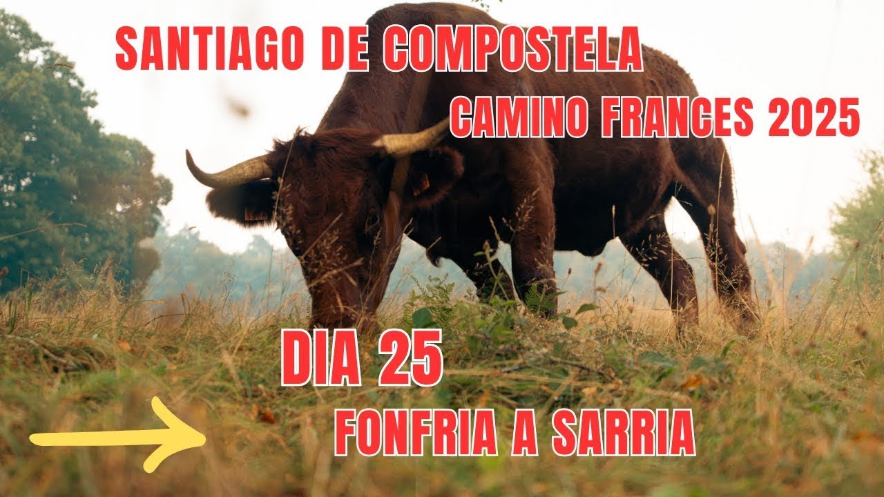 Día 25 Camino de Santiago 2025: de Fonfría a Sarria 🔥 No podemos Respirar por el humo...¿EVACUACION?