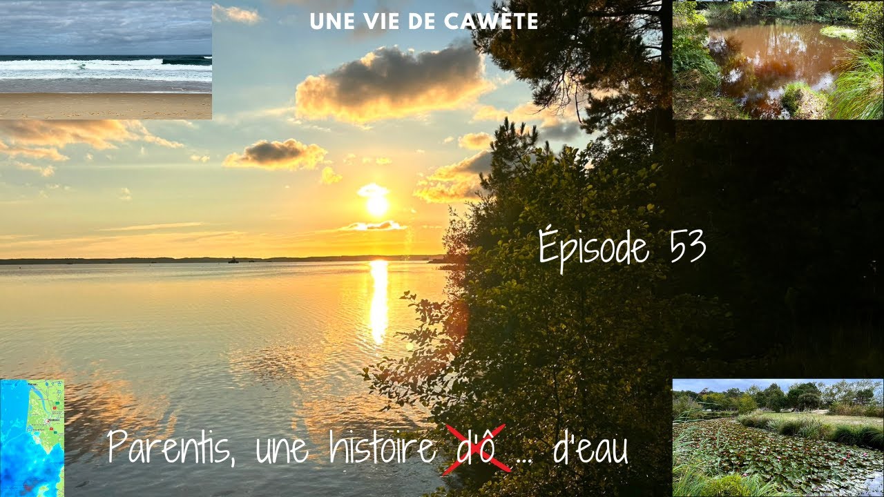 Épisode 53 - Parentis, une histoire d'ô ... d'eau