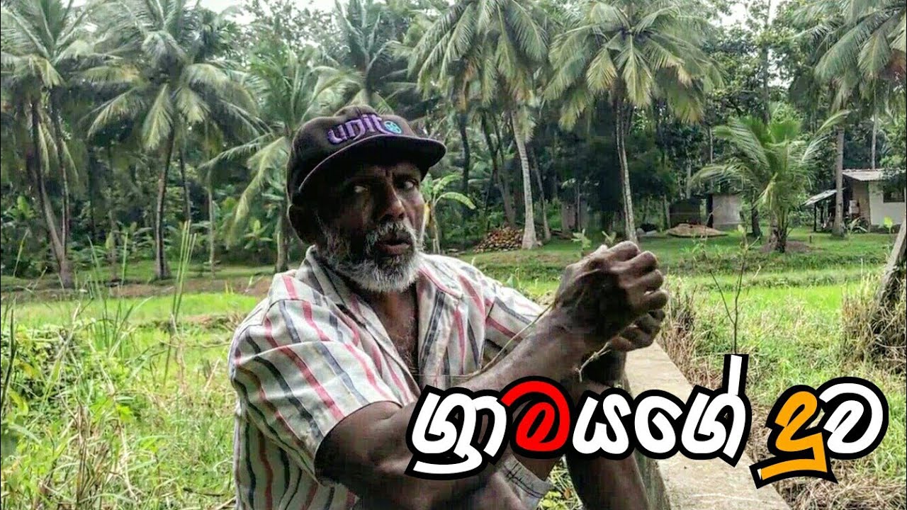 ටැක්ටරේ  / POL KARU