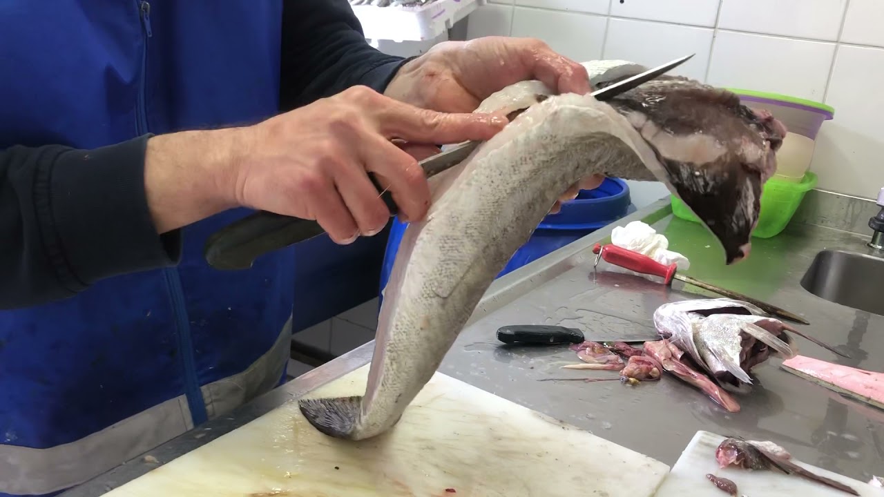 Mezgit Balığı Nasıl Temizlenir Nasıl Kılçıksız Hazırlanır🇹🇷🎣🔥🚣🔪