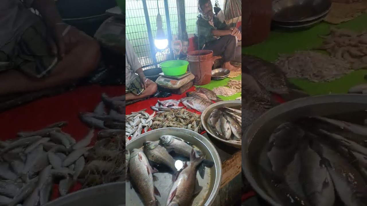 Kolkata fish & vegetable market 7/2/26♥️♥️