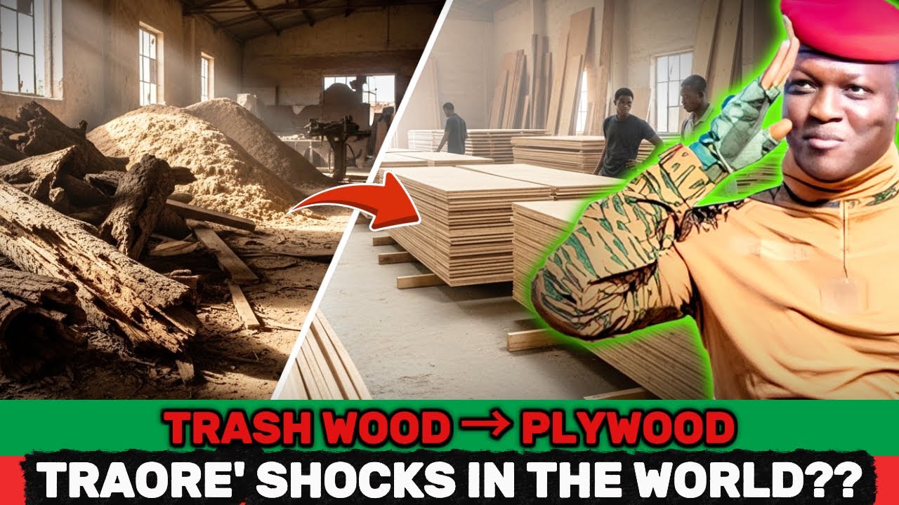What's REALLY Behind The Millions of Tons of Plywood Recycled From Wood Waste In The Sahel Desert?