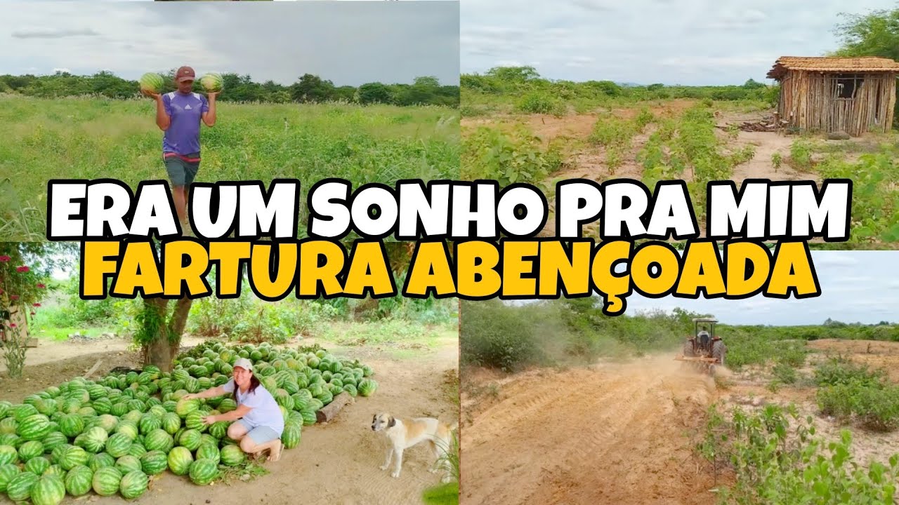 ARRUMAMOS A TERRA NO SITIO NOSSO CANTINHO PREPARADO PÔR DEUS 🙌