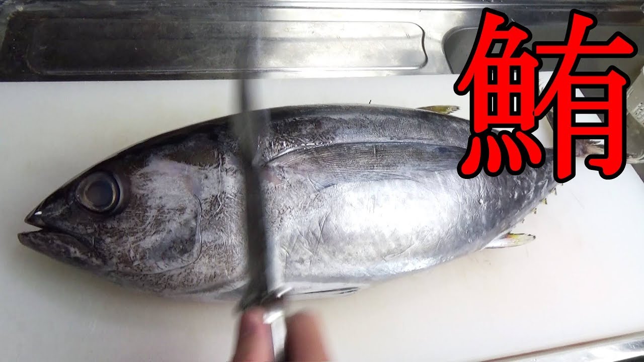 誰でも簡単にマグロを高速でさばける方法がこちらになります。【必見】