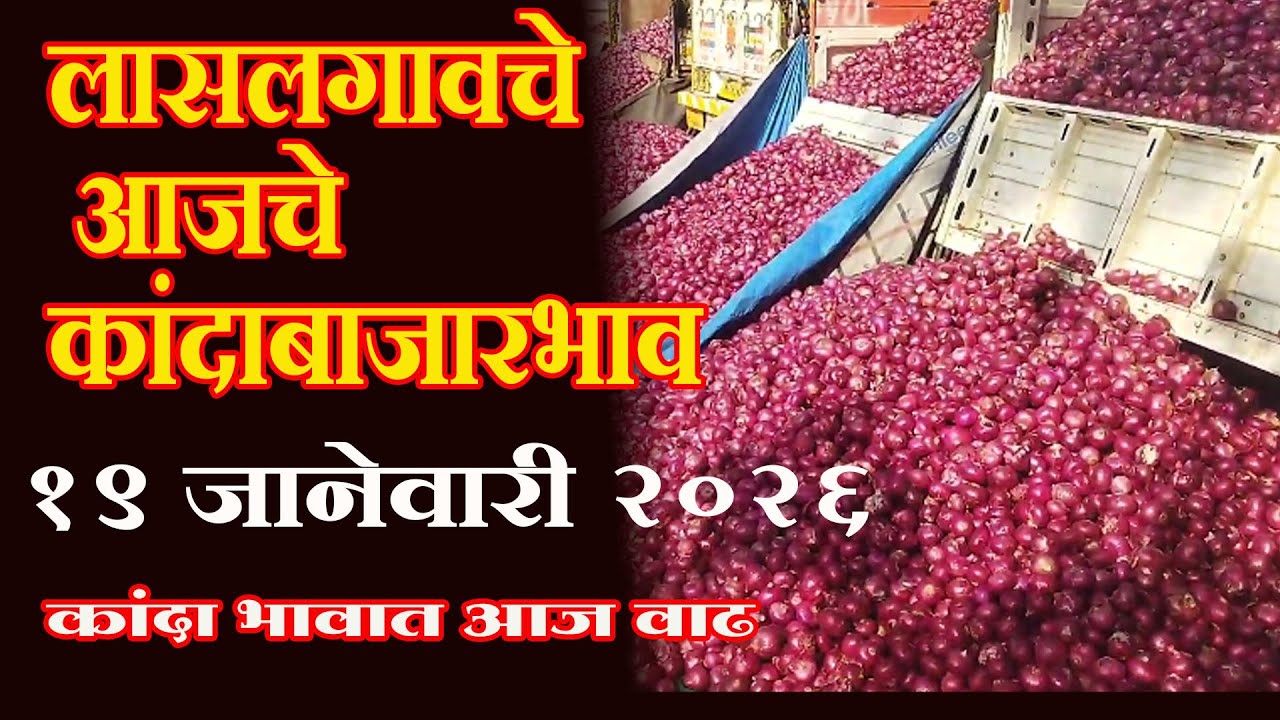 लासलगाव बाजारचे आजचे कांद्याचे चे भाव 19 जानेवारी 2026 चे LasalgaonKandaBazarBhav #आजचेकांदाबाजारभाव