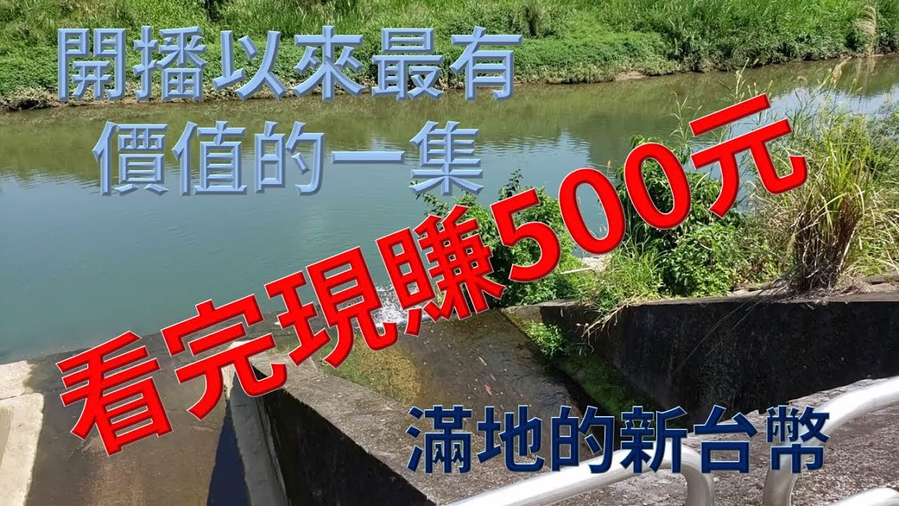 公開一個可以賺錢的釣點!! _滿地新台幣_隱藏在城市裡的河畔密點_內行的朋友請低調收藏Share a fishing spot that can make money!!