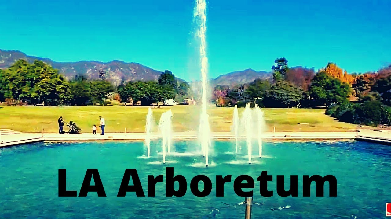 Walking tour of Los Angeles County Arboretum & Botanic Garden in Arcadia, CA [4K]
