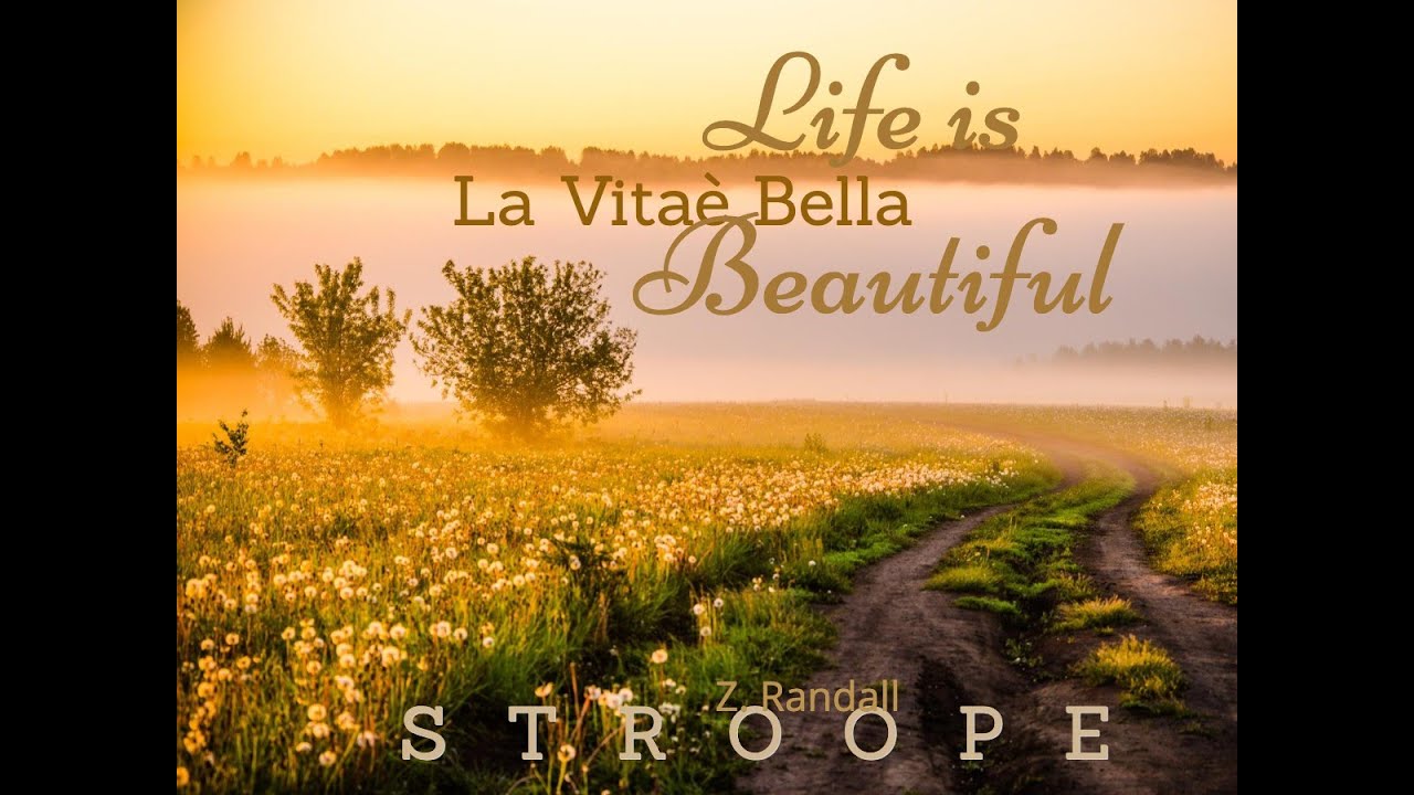 LIFE IS BEAUTIFUL (