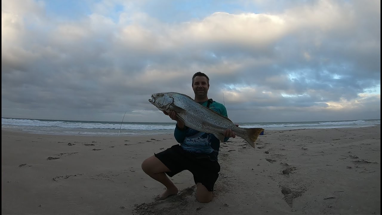Mulloway fishing: Jewfish: Beach fishing: W.A. #fishing #mulloway #jewfish Land based fishing