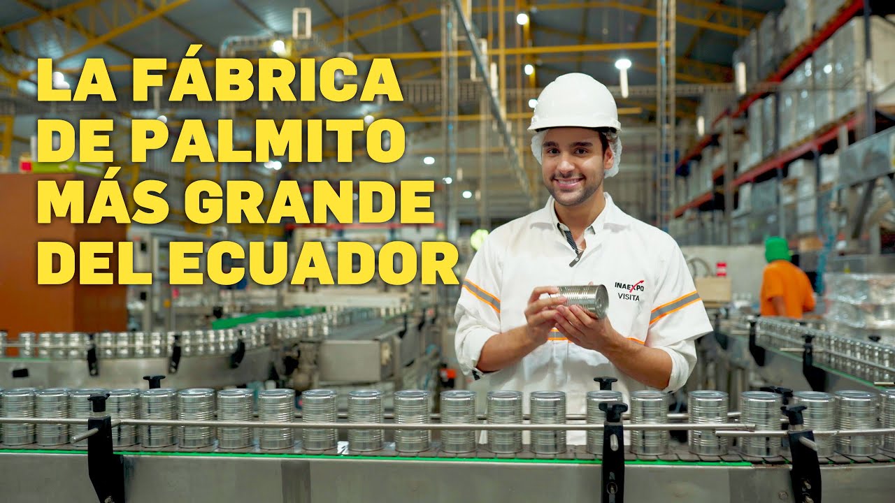 La fábrica de palmito más grande de Ecuador: Inaexpo de Pronaca