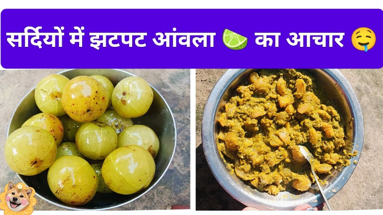 सर्दियों में झटपट आंवला 🍋‍🟩 का आचार बनाए।How to Make Pickle Recipe in Winter Season #Winter special 