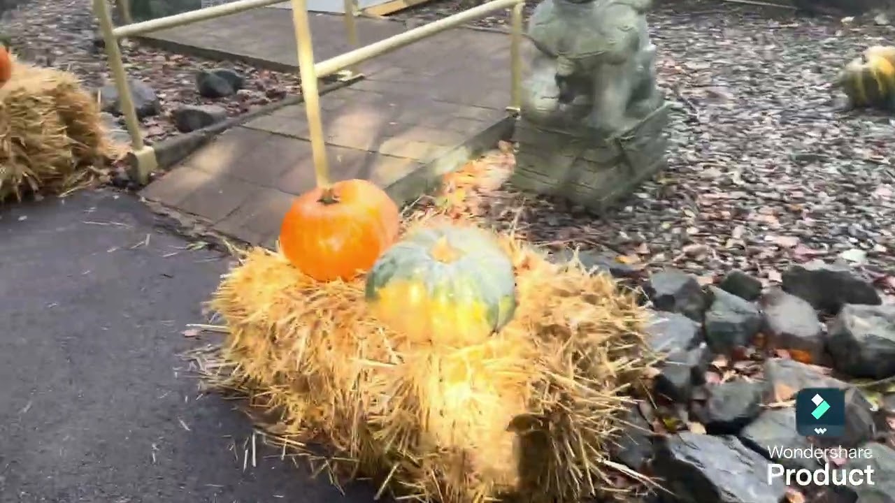 Ein Tag im Freizeit-Land Geiselwind.